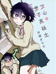 风之极 封面